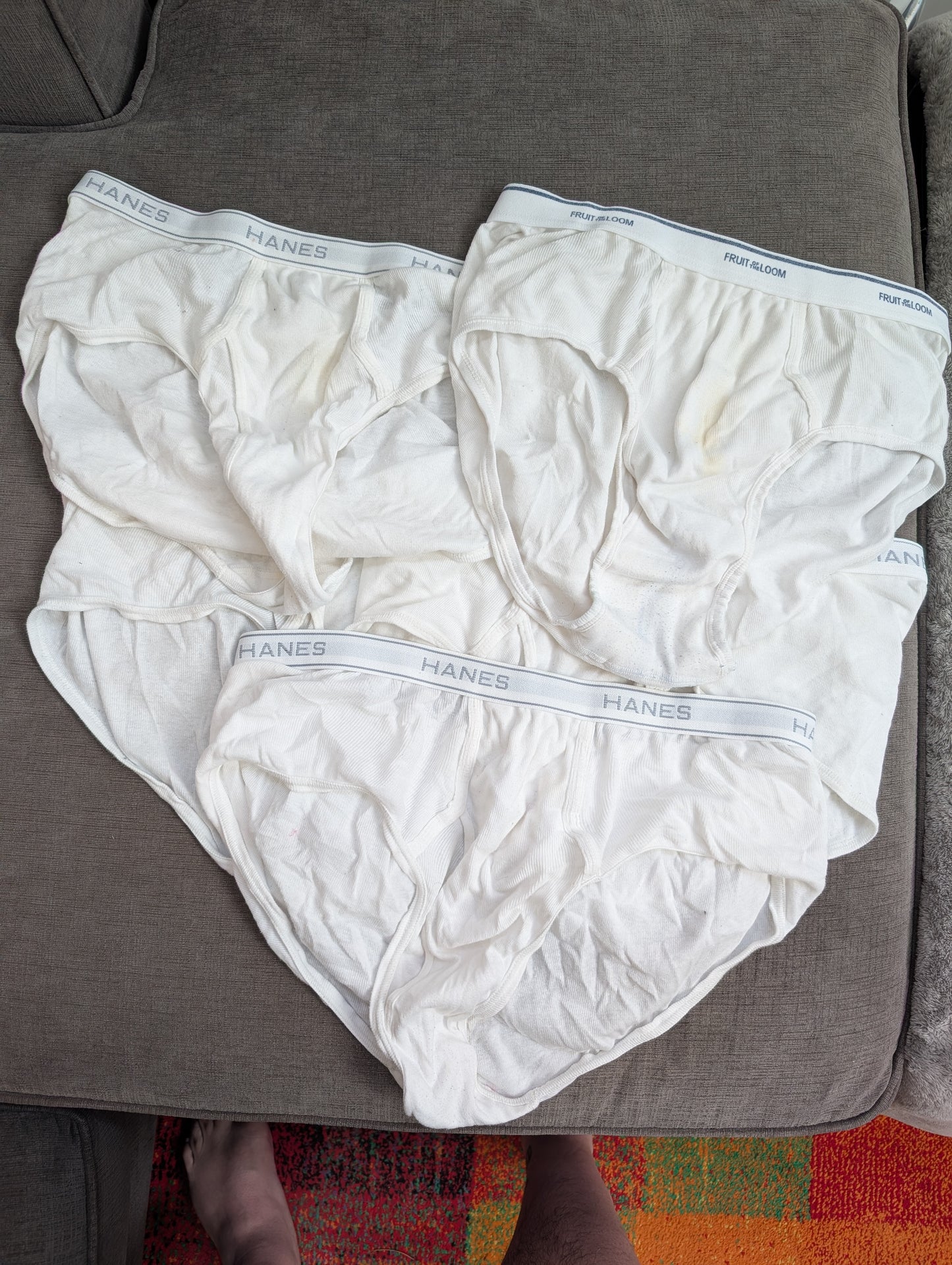 My Briefs - North American Bear Contest